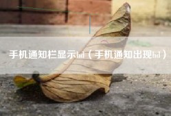 手机通知栏显示hd（手机通知出现hd）