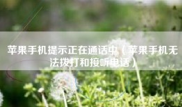 苹果手机提示正在通话中（苹果手机无法拨打和接听电话）