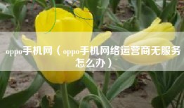 oppo手机网（oppo手机网络运营商无服务怎么办）