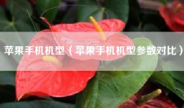 苹果手机机型（苹果手机机型参数对比）