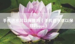 手机进水可以保修吗（手机进水可以保修吗oppo）