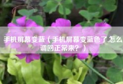 手机屏幕变蓝（手机屏幕变蓝色了,怎么调回正常来？）