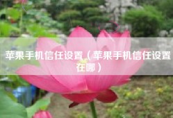 苹果手机信任设置（苹果手机信任设置在哪）