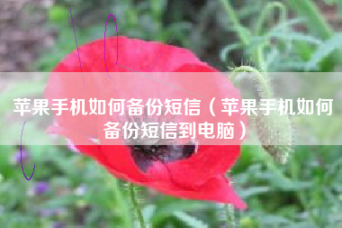 苹果手机如何备份短信（苹果手机如何备份短信到电脑）