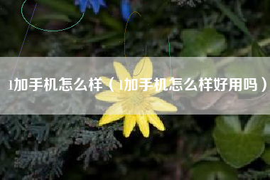 1加手机怎么样（1加手机怎么样好用吗）