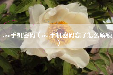 vivo手机密码（vivo手机密码忘了怎么解锁）